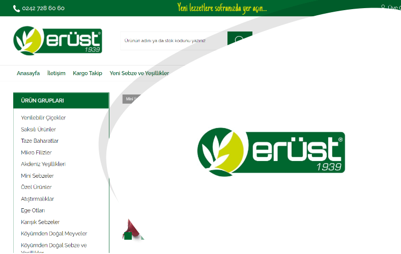 Erüst Online